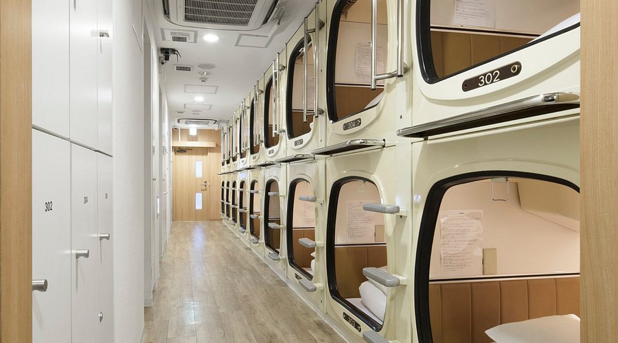 Rows of moulded capsules stacked in two tiers under a low ceiling